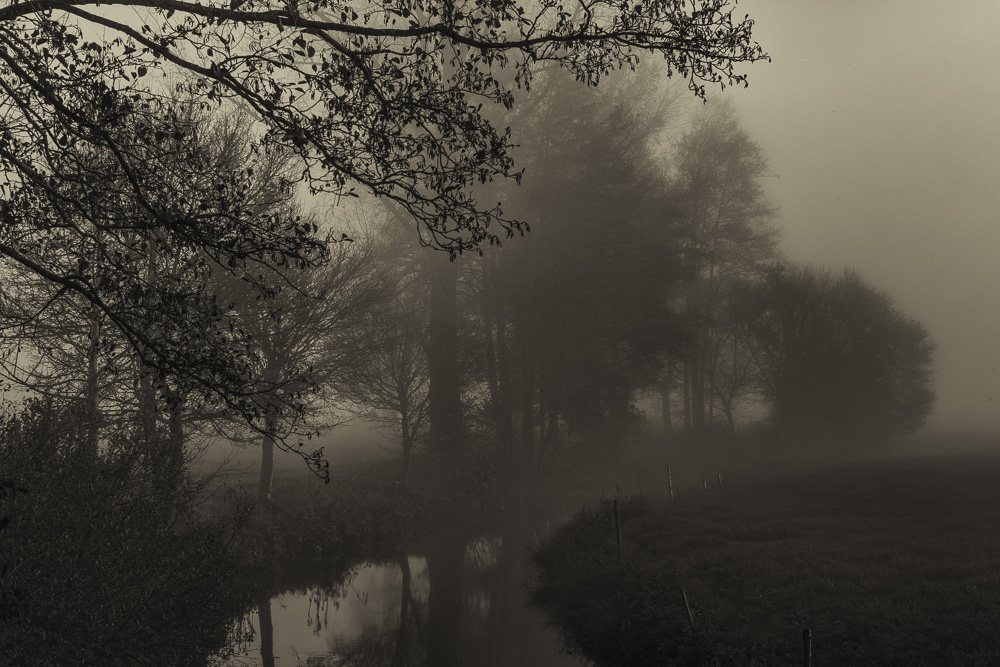 10. Platz Conny Kleiner